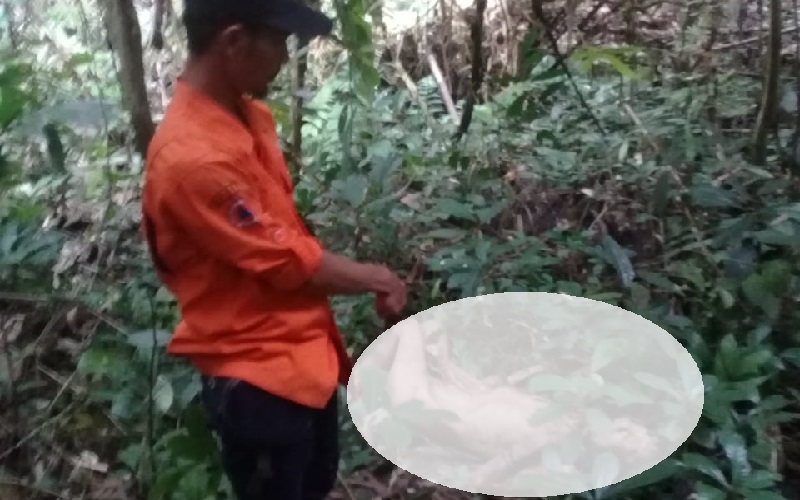 Dalam 2 Hari Warga Sukabumi Temukan 3 Mayat, Kondisi 1 Korban Mengenaskan