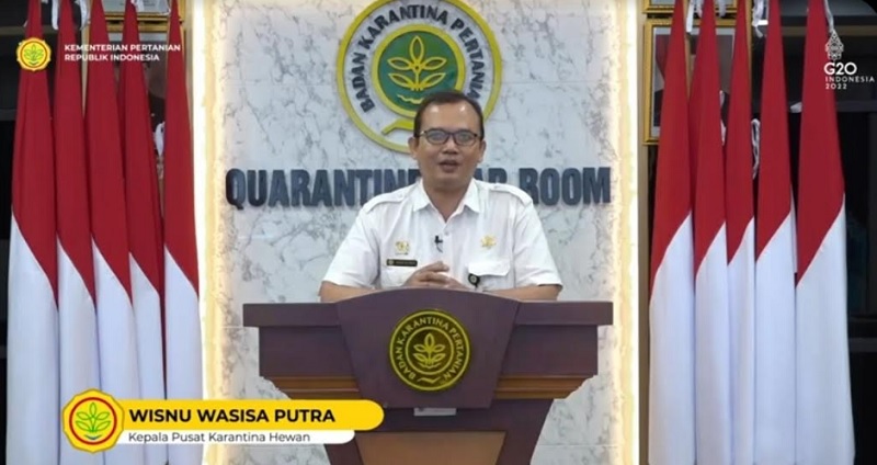 Wabah PMK Masuk RI, Wilayah Garis Pantai Timur Sumatera Disebut Rawan Penyelundupan