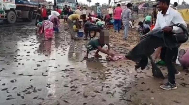 Wow, Hujan Ikan Terjadi Selama 2 Hari di Wilayah Ini 