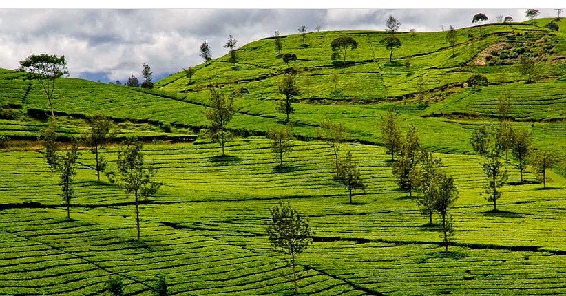 4 Wisata di Bandung yang Masih Alami dengan Pemandangan Indah, Pernah Singgah?