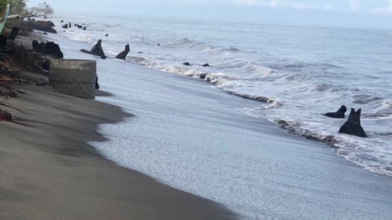 Abrasi di Pantai Padang Pariaman Makin Parah, Ini Penyebabnya