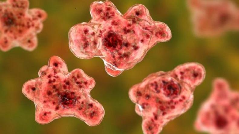 Hii, Pria Ini Meninggal akibat Amuba Pemakan Otak
