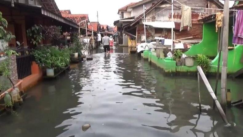 Banjir Rob Rendam Ratusan Rumah di Kota Pekalongan