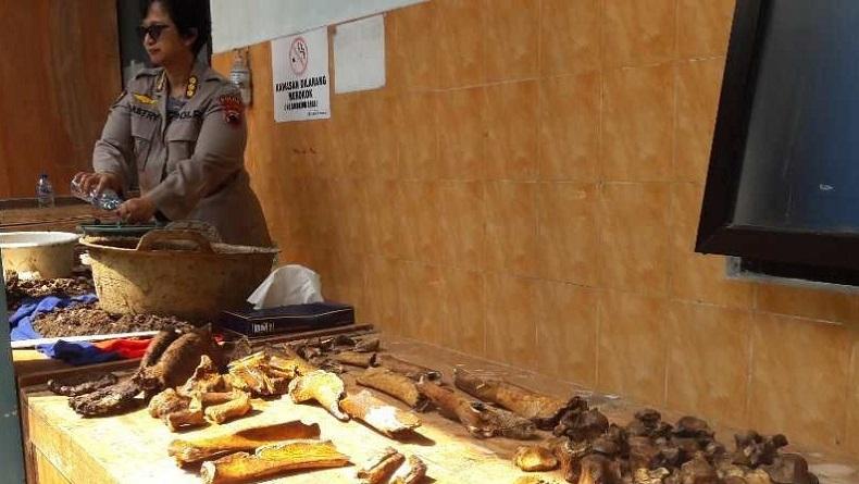 Temuan Potongan Tulang saat Pembangunan Puskesmas Gegerkan Warga Temanggung