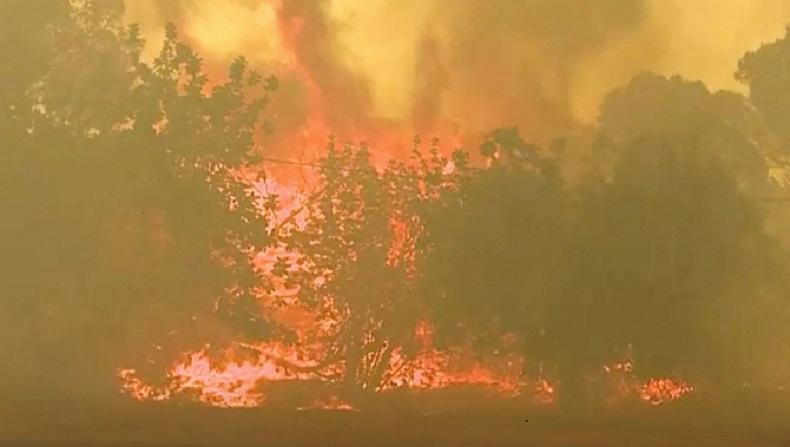 Tragis, Sepasang Lansia Ditemukan Tewas dalam Mobil yang Hangus saat Kebakaran Hutan