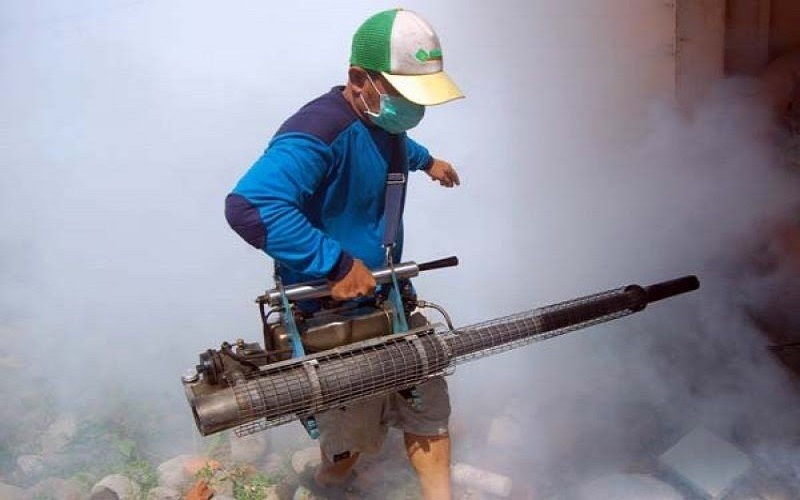 Waspada DBD, 11 Orang Meninggal Dunia di Bekasi