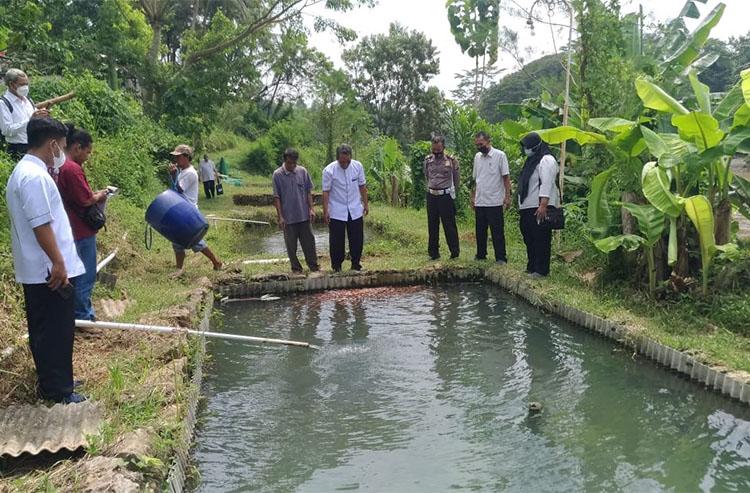 Harga Pakan Ikan Melambung, Pembudi Daya Ikan di Kulonprogo Terancam Merugi