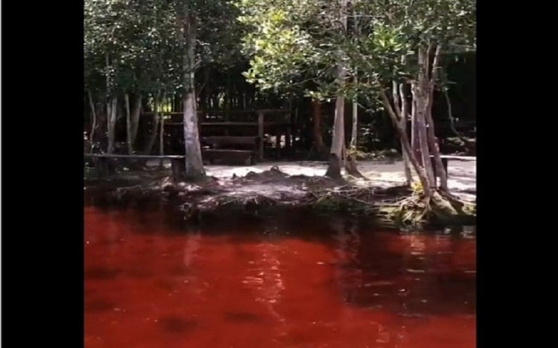 Keindahan Sungai Merah di Kalimantan, Bikin Kulit Putih dan Disakralkan Suku Dayak
