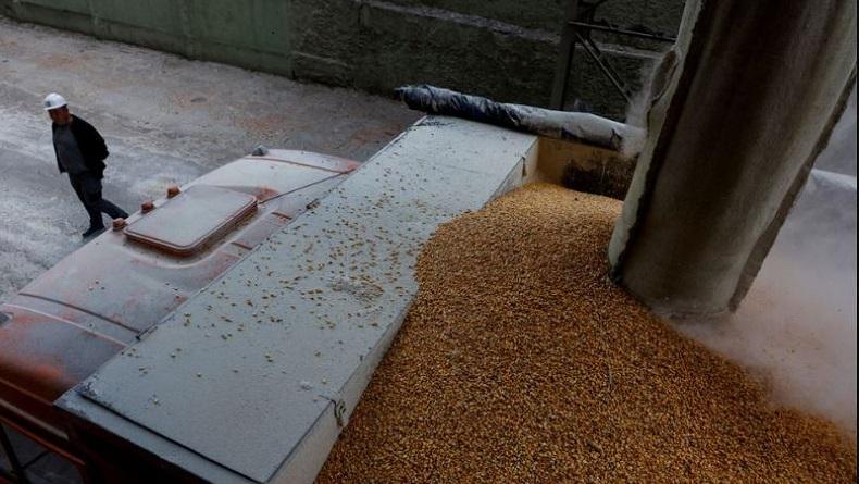 India Pertimbangkan Impor 9 Juta Ton Gandum Rusia