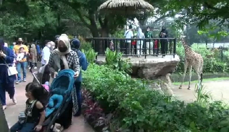 Kronologi 41 Orang Tertipu Lowongan Kerja Catut Nama Kebun Binatang Bandung