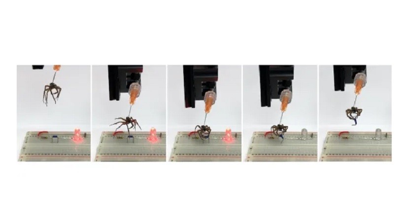 Peneliti Ubah Laba-Laba Mati Jadi Robot Pencengkram, Begini Penjelasannya
