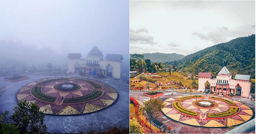 Pesona Kebun Raya Liwa di Lampung, Ada Tanaman Langka dan Perbukitan Diselimuti Kabut