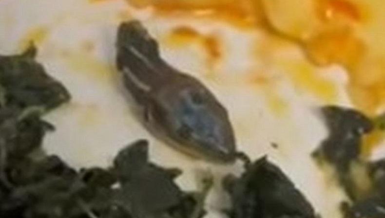 Ngeri! Ada Kepala Ular dalam Makanan Kru Pesawat, kok Bisa?