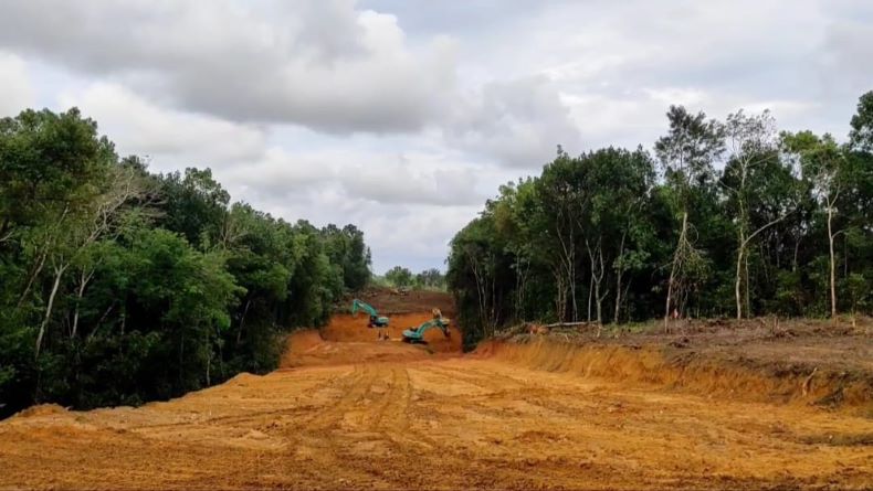 Pembangunan Akses Jalan Pelabuhan Tanjung Ular Terkendala Status Kawasan Hutan Lindung