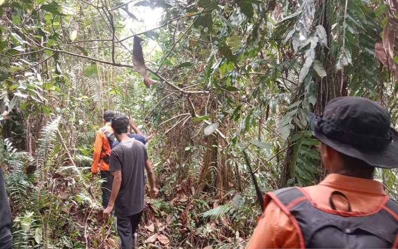 Sepekan Hilang, Pria Hilang di Hutan Pedalaman Aceh Barat Ditemukan Lemas hingga Linglung