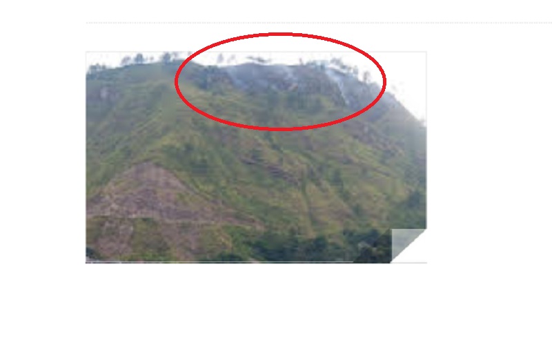 Hutan di Kawasan Danau Toba Simalungun Terbakar