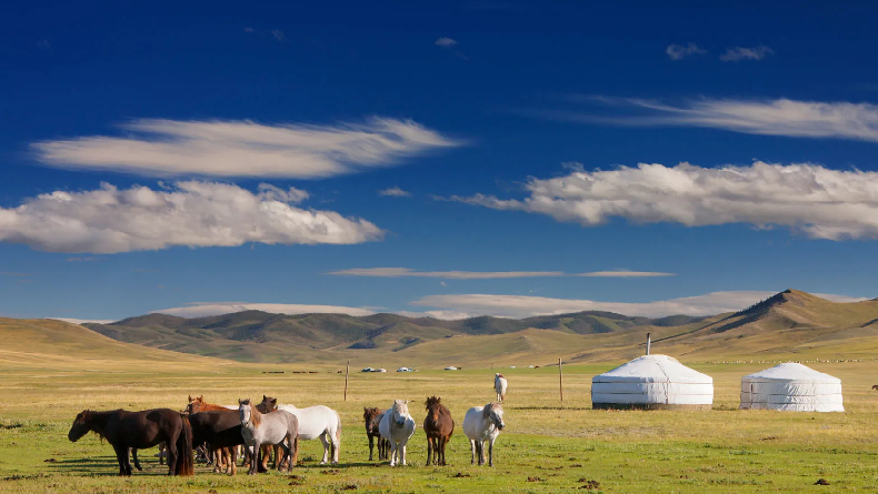 5 Fakta Unik tentang Mongolia, Negara di Asia Timur yang Dijuluki Tanah Langit Biru