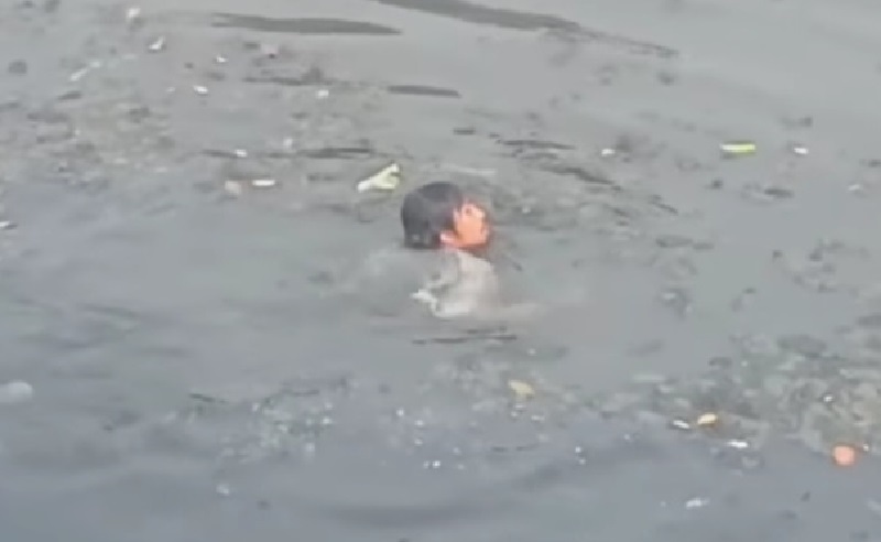 Panik Lihat Satpol PP, Juru Parkir Liar Ini Nekat Ceburkan Diri ke Sungai di Kalideres