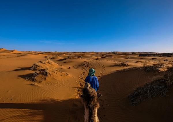 Perbedaan Nabi dan Rasul dalam Islam: Pengertian, Jumlah dan Tugasnya