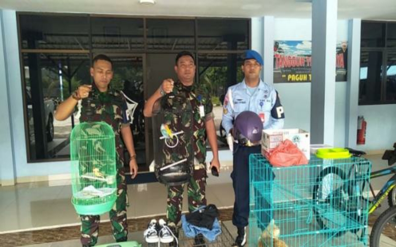 2 Remaja Keluyuran di Kompleks TNI AU Medan, Ternyata Curi Kucing Anggora hingga Kain Jemuran