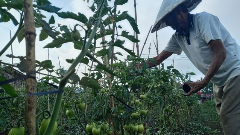 BPS : Petani Holtikultura Sulut Paling Sejahtera