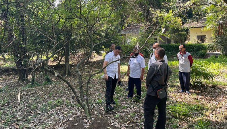 Polisi Cek Tanaman di Kebun Raya Bogor Diduga Bahan Kokain, Ini Hasilnya