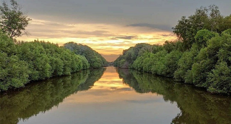 Eksplorasi Alam di Taman Wisata Mangrove, Peduli Lingkungan dengan Makan Sehat