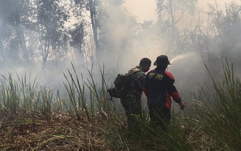 Karhutla di Sumsel Naik 2 Kali Lipat, Ini Lokasi Terluas