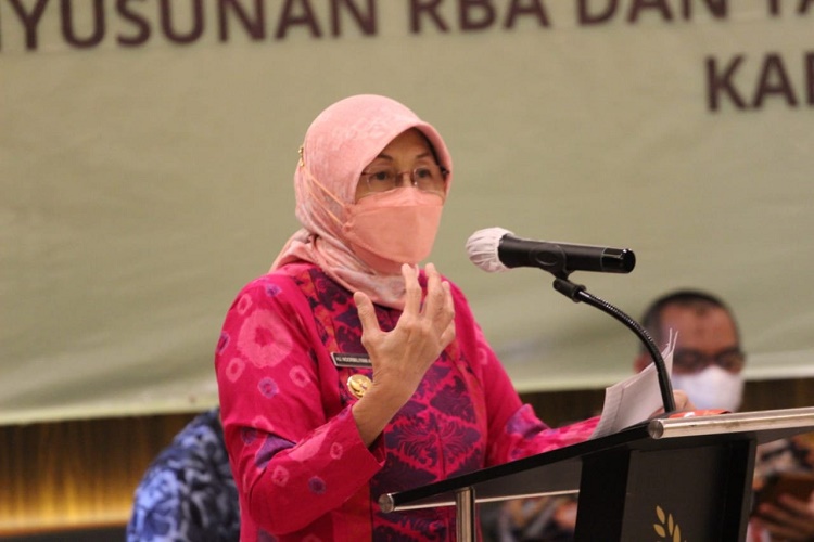Buka Workshop RBA dan Tata Kelola, Bupati Batola: Harus Mencakup Program Kegiatan