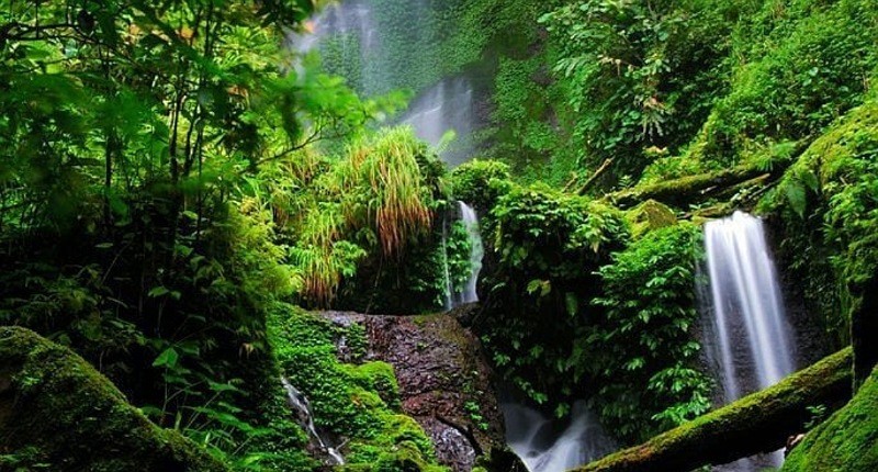 Pesona Air Terjun Sepapah Kiri dan Kanan di Lampung, Masih Asri Dikelilingi Pepohonan Cantik 