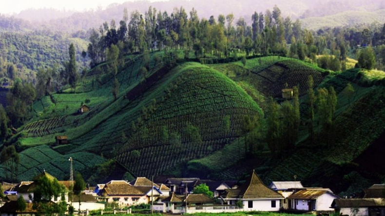 Ini 10 Desa Tertinggi di Indonesia, Ada Negeri di Atas Awan