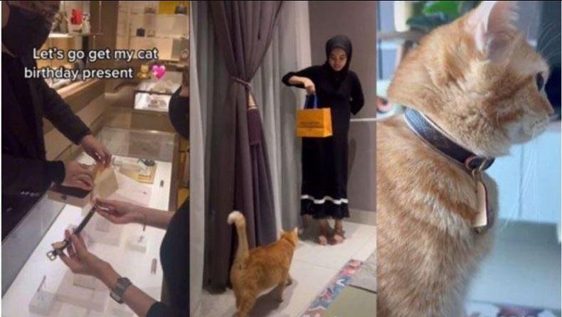 Perempuan Ini Belikan Hadiah Ulang Tahun untuk Kucing, Harganya Bikin Melongo