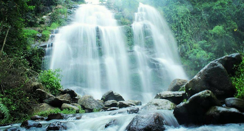 Pesona Air Terjun Mbah Gimo Dikelilingi Kebun Kopi, Keindahannya bak Tirai Raksasa