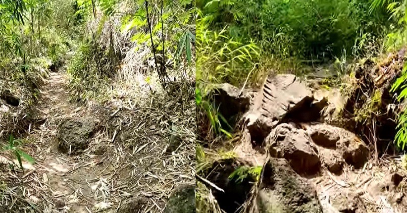 Misteri Tanah Bergetar di Gunung Penanggungan, Ditemukan Tidak Sengaja oleh Pendaki