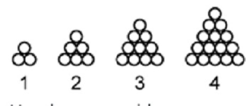 Contoh Soal ANBK 2022 SMP Numerasi dan Literasi, Catat Jadwal Pelaksanaannya