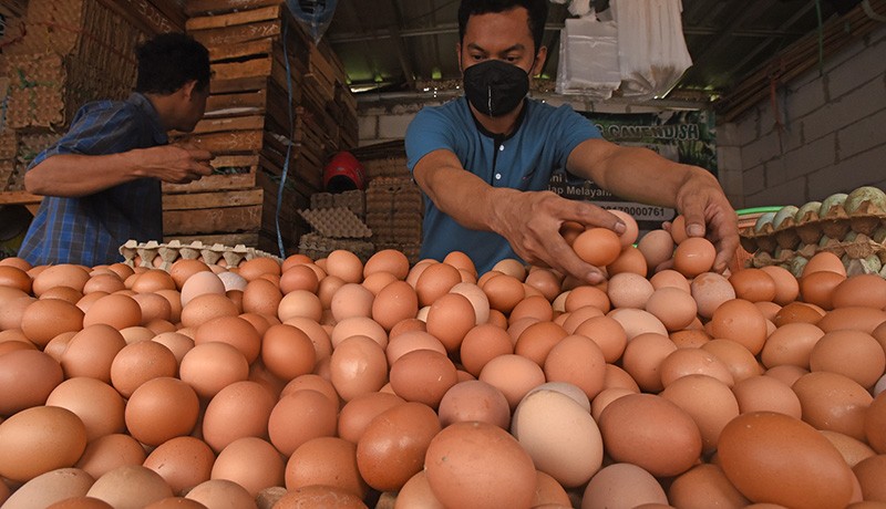 Daftar Harga Telur di 34 Provinsi Hari Ini, Termahal di Papua Rp39.650/Kg