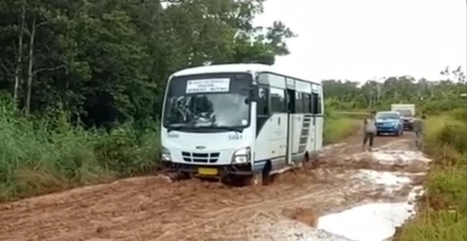 Ini PO Bus Satu-satunya di Papua, Lintasi Jalan Ekstrem dan Rawan Kelompok Bersenjata