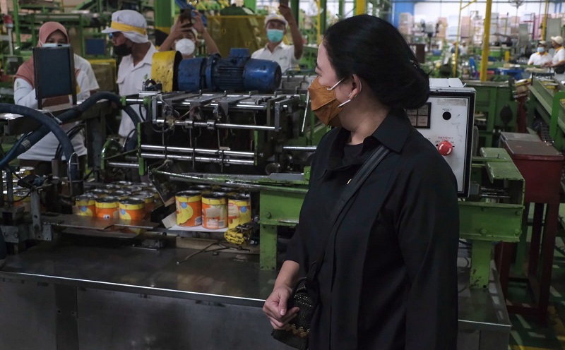 Tinjau Industri Nanas di Lampung, Puan: Perusahaan dan Petani Harus Sinergis