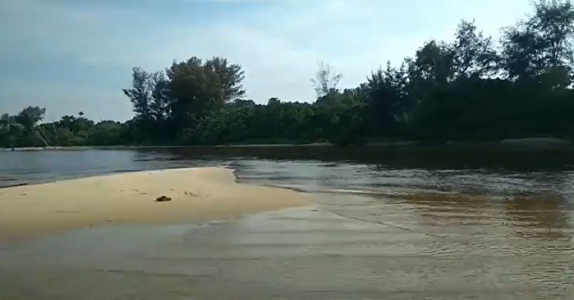 Menjelajahi Pantai Kuala Kambas, Lihat Senja yang Eksotis hingga Ada Hewan Langka