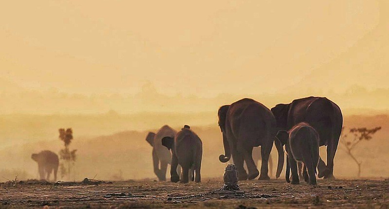 Ide Wisata di Taman Sukadana, Ada Situs Kuno hingga Atraksi Hewan