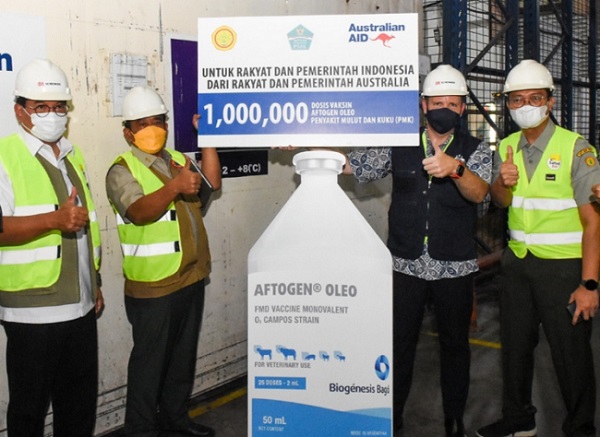 1 Juta Dosis Vaksin PMK Bantuan Australia Tiba di Indonesia 