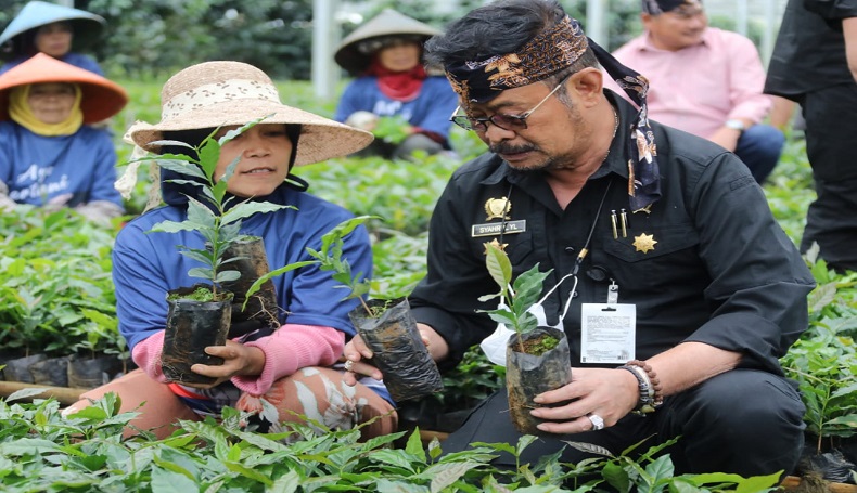 Target 3 Juta Batang di 2022, Mentan: Produksi Kopi Jabar Berkembang Pesat