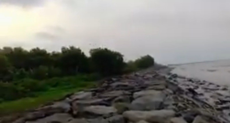 Keindahan Pantai Kuala Penet di Lampung, Masih Alami Dikelilingi Mangrove