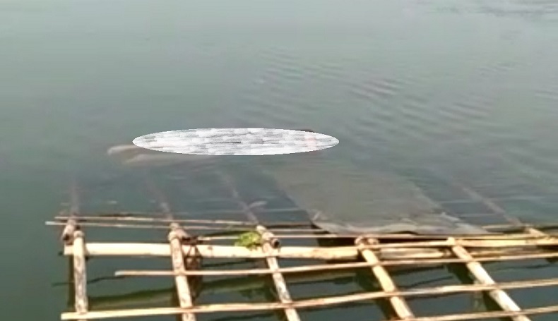 Gempar, Mayat Perempuan Ditemukan Mengambang di Waduk Cirata Cianjur