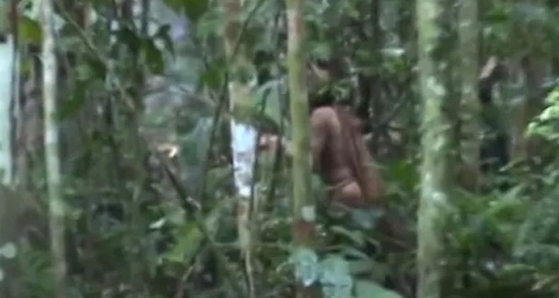 Anggota Terakhir Suku Pedalaman Amazon Ini Ditemukan Meninggal, Hidup Sendiri Bertahun-tahun