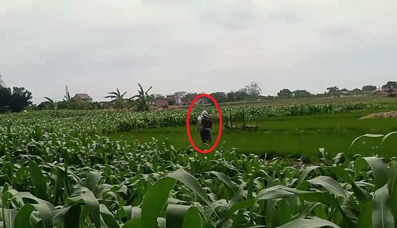 Nongkrong Sambil Bawa 59 Pil, Belasan Pelajar Majalengka Kocar-kacir Dirazia Petugas