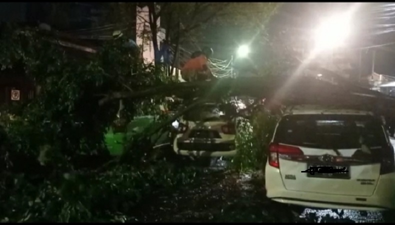 Hujan Disertai Angin Kencang di Bogor, Pohon Tumbang Timpa 3 Mobil
