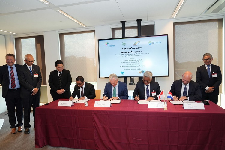 Tingkatkan Produksi Susu Segar, BUMN Gandeng Perusahaan Asal Belanda