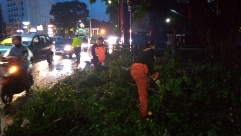 Hujan Angin, Pohon Setinggi 7 Meter di Bogor Patah hingga Tutupi Jalan