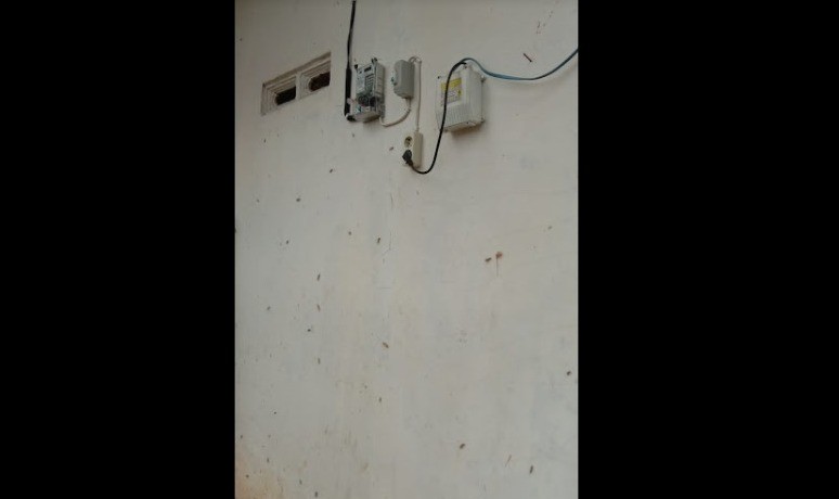 Sudah Seminggu Warga Cikupa Tangerang Diserang Ulat Bulu